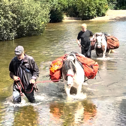 Pack Pony Adventure for Two